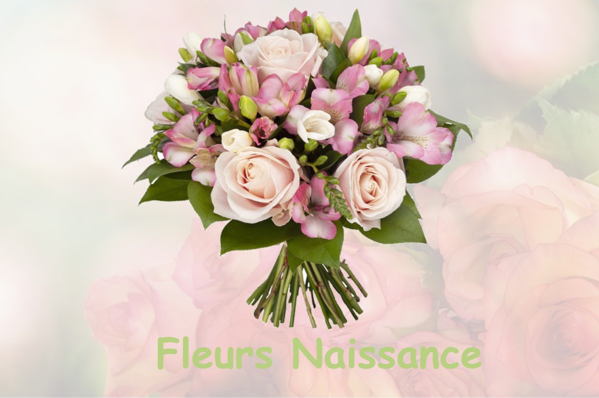 fleurs naissance PUISENVAL