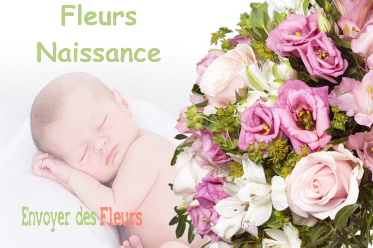 lIVRAISON FLEURS NAISSANCE à PUISENVAL