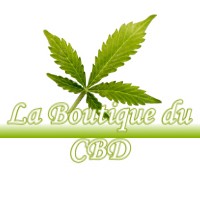 LA BOUTIQUE DU CBD PUISENVAL 